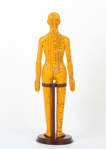 Modello di Punti di Agopuntura con Struttura del Corpo Umano - Simulatore di Addestramento con Ago in PVC per l'Apprendimento della Medicina Tradizionale Cinese - Product Image 5