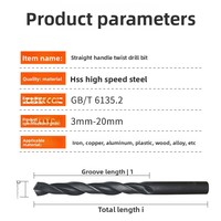 Foret hélicoïdal HSS de 4 mm à tige droite en acier rapide oxydé noir pour métal, bois et plastique