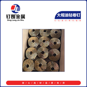 Clavos en espiral Ding Lang de gran calibre 2.87mm galvanizados para techos de asfalto, resistentes al viento, para tejas de madera - Product Image 3