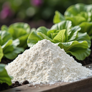 ปุ๋ยชีวภาพชนิดผง Bacillus Licheniformis สำหรับการปลูกพืชที่มีประสิทธิภาพสูง ควบคุมการปลดปล่อยสารอาหาร - Product Image 6