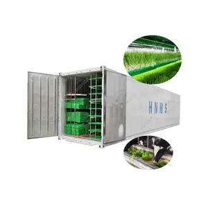 Le fattorie di container di spedizione per la macchina idroponica per germogli di foraggio producono germogli di mais microgreen/orzo per mangimi per pollame