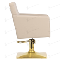Ensemble de mobilier de luxe pour salon de coiffure : Fauteuil de barbier, Chariot de coiffure, Lit de lavage, Fauteuil de lavage réglable, Poste de travail de salon