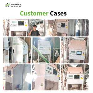 Wesort quang công nghiệp phân loại máy màu SORTER cho hạt dẻ hồ trăn óc chó hạt cà phê hình dạng công nghiệp SORTER - Product Image 4
