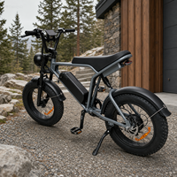 Vélo électrique à pneus larges de 20 pouces 48 V 250 W pour la vente en gros