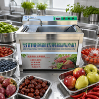 Laveuse de légumes et fruits à bulles de petite capacité avec chauffage et ozone pour cantines scolaires, restaurants et cuisines