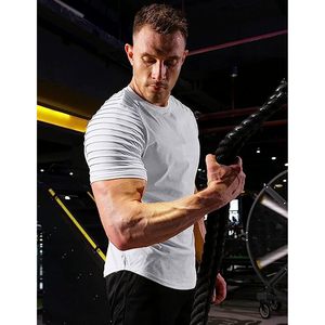 Men's <b>Raglan</b> Sleeve T-Shirt 3 Pack Quick Dry Athletic Gym Workout <b>Tops</b> Bodybuilding Tees Blue Gray Black - Product Image 6