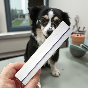 Kit de bandelettes de <span class=keywords><strong>test</strong></span> vétérinaire <span class=keywords><strong>Test</strong></span> rapide d'antigène de relaxine <span class=keywords><strong>canine</strong></span> pour l'analyse de la santé <span class=keywords><strong>canine</strong></span> - Product Image 3