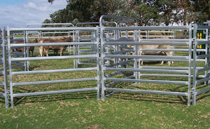 Australia Standaard Gegalvaniseerd Hek Vee Paneel Corral Panel Vee Vee Werf Voor Boerderij Hekwerk - Product Image 4