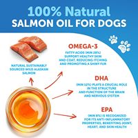 Supplément d'huile de poisson de saumon naturel OEM/ODM pour animaux de compagnie soins de santé oméga-3 haute densité pour chiens et chats peau pelage articulations-en bouteilles
