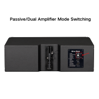 Système audio professionnel passif à deux voies avec deux enceintes passives de 10 pouces, enceintes line array