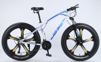 Haute qualité 26 pouces 7/21/24/27/30 vitesses 4.0 vélo de neige selle confortable en alliage d'aluminium pliant en gros pas cher VTT