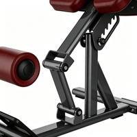 Chaise romaine professionnelle réglable pour extension dorsale et hyperextension, idéale pour les centres de fitness et la musculation