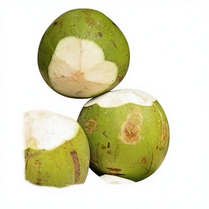 Agua de Coco Hidratante Pura y Dulce, Recogida a Mano para un Sabor Inigualable, Valor Nutricional, Fresca, de Tailandia, Grado 1, Vida Útil de 12 Meses - Product Image 1