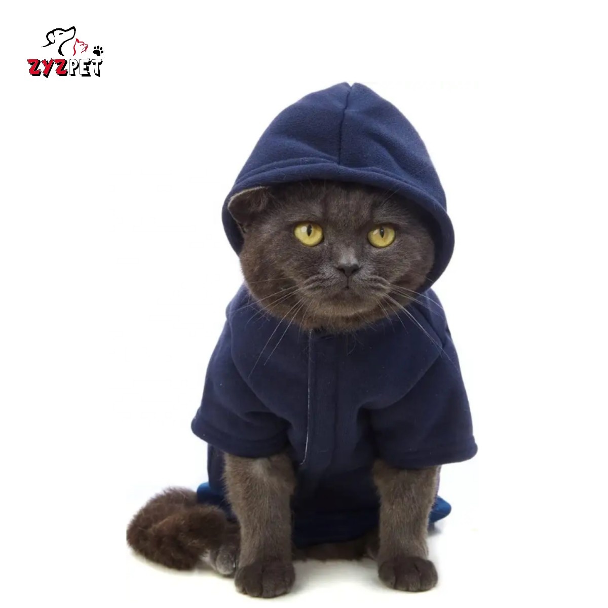 ZYZ PET Katzen kostüm Kätzchen Kleidung Katzen pullover Nur für Katzen Kleidung Outfit Baumwoll Hoodies