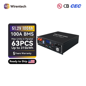 Batterie LiFePO4 en rack 51,2 V 100 Ah 5,12 kWh pour système de stockage d'énergie solaire et UPS, livraison rapide en 3-5 jours (stock US) - Product Image 1