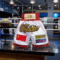 Short de boxe Muay Thai professionnel pour hommes commande en gros en tissu respirant extensible pour l'entraînement des gladiateurs