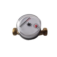 Medidor de agua de pulso de flujo único RS 485/Mbus DN15 preciso para uso doméstico para medición eficiente del agua
