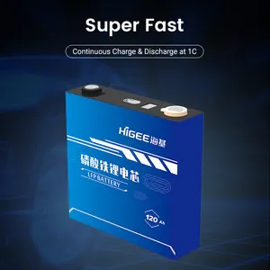 Higee 3.2v 100ah 120ah Lifepo4 Battery System Lifepo4 Lithium Ion Battery 24v 100ah 120ah Lifepo4 Cylindrical Cells 100ah