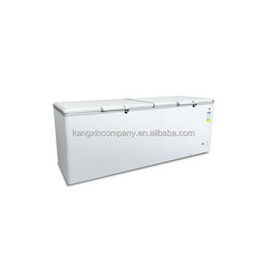 大容量トップオープンドア水平冷凍庫商用チェストフリーザー - Product Image 2