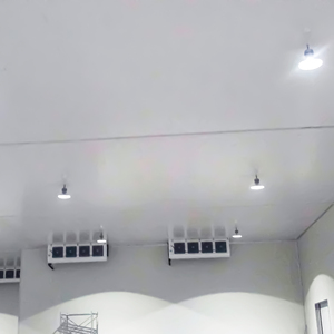 빅 사이즈 냉장 보관실/냉방실 - Product Image 1