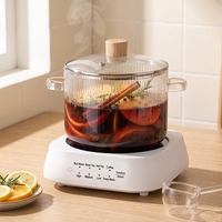 Marmite à soupe moderne en verre borosilicate transparent, casserole côtelée résistante à la chaleur pour cuisinière à gaz, 1600 ml, pour la cuisine