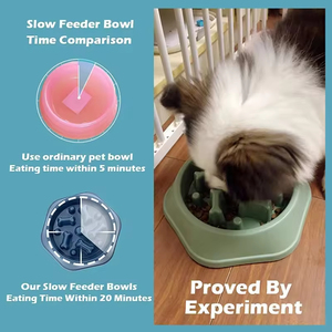 Diskon besar mangkuk makanan lambat anjing kucing untuk mencegah mencekik melindungi kesehatan hewan peliharaan cocok untuk anjing kecil ukuran besar sedang perlengkapan hewan peliharaan - Product Image 3