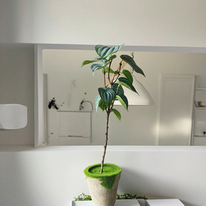 Plantes artificielles vertes, feuillage, vigne, feuilles de vigne, feuilles de <span class=keywords><strong>patate</strong></span> <span class=keywords><strong>douce</strong></span> et branches de bonsaï réalistes pour la décoration intérieure - Product Image 4