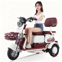 Tricycle électrique à 3 roues, scooter de mobilité avec siège enfant pliable et boîte de rangement, absorption des chocs, meilleur auto-rickshaw électrique
