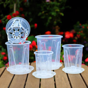 JQ Phalaenopsis หม้อควบคุมรากกล้วยไม้, เทียนดอกอโลเซีย, กระถางดอกไม้โปร่งใสแบบกลวงแครนเบอร์รี่กำมะหยี่ - Product Image 2