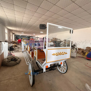 รถม้าไฟฟ้าดีไซน์คลาสสิคแบบเปิดประทุน 4 ล้อ พร้อมวิวพาโนรามา และบริการชมวิวฟรีสำหรับขาย - Product Image 6