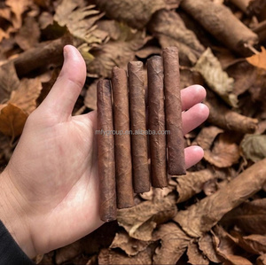 where to get tobacco seeds Golden Seal Special Burley Tobacco Seeds - Huge selection! Many different  varieties of tobacco leaf seeds for sale