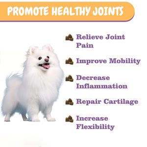 Toptan Özel Üretim Köpek Ödül Maması Takviyesi Probiyotikler Yumuşak Çiğneme Tabletleri Sağlıklı Bağırsak, Sindirim ve Bağışıklık Sistemini Destekler Probiyotikler - Product Image 3