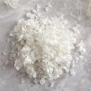 Ortensie Essiccate Naturali in Confezione da 10g, Fiori Secchi con Foglie Piccole per Decorazioni Fai-da-Te, Matrimoni e Coriandoli - Product Image 4