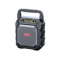 Enceinte portable d'extérieur Great Wall 5.0 en plastique, son puissant 10W pour danse, avec microphone sans fil pour karaoké