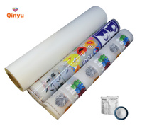 Rouleau de film PET DTF Qinyu A3/A4 pour transfert thermique, pelable à froid et à chaud, 30cm/60cm, pour l'impression textile et sur T-shirts
