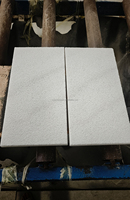 Carreaux de patio de jardin en marbre blanc Guangxi sur mesure finition antidérapante sablée pour la décoration extérieure tailles pures naturelles