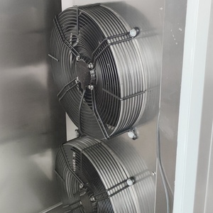 Máquina de Congelación Rápida Criogénica IQF a Precio Económico - Product Image 6