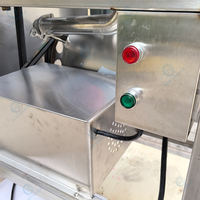 Dubbelkanaals mangopulp machine met dubbele invoerpoorten, motor, capaciteit 1t/u voor gelijktijdig pulpen, hoge efficiëntie, voedselindustrie