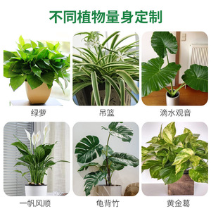 Solution nutritive pour plantes 500 ml Engrais liquide pour plantes d'intérieur et d'extérieur Usage général - Product Image 4