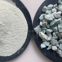 Zéolite naturelle Clinoptilolite, matériau filtrant adsorbant pour le traitement de l'eau, 100% naturel, 200 mesh, marque Jinshi, origine Hebei