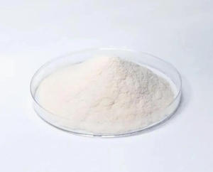 Offre Spéciale : Poudre d'Agar-Agar Marque TR Pureté 98% Additif Alimentaire du Guangdong CAS 9002-18-0 - Product Image 2