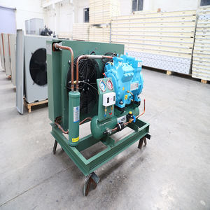 ชุดคอมเพรสเซอร์คอนเดนซิ่งยูนิต<span class=keywords><strong>ราคา</strong></span>ดีสำหรับ<span class=keywords><strong>ห้อง</strong></span>เย็น - Product Image 6