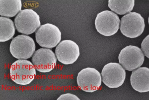 Epoxy <b>Magnetic</b> <b>Beads</b> | High-Sensitivity Core Material for Molecular Diagnostic Kit Purification and Separation - Product Image 3