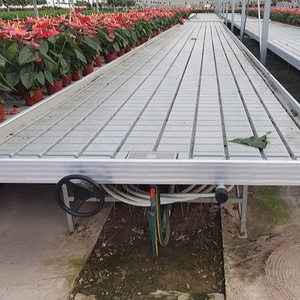 Tables <span class=keywords><strong>de</strong></span> culture <span class=keywords><strong>de</strong></span> taille personnalisée en gros pour plantes commerciales <span class=keywords><strong>lit</strong></span> <span class=keywords><strong>de</strong></span> culture <span class=keywords><strong>de</strong></span> semences <span class=keywords><strong>de</strong></span> pépinière hydroponique <span class=keywords><strong>table</strong></span> <span class=keywords><strong>de</strong></span> culture bancs roulants - Product Image 4