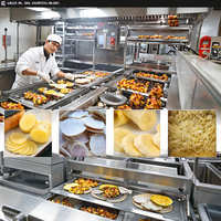Best Verkopende Automatische Industriële Voedselverwerkende Lijn Nieuwe Friteuse Voor Aardappel Bananenchips Bevroren Frietjes Groenten Fruit