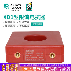 หม้อแปลงกระแสไฟฟ้า Tengen รุ่น XD1-30 300/5A ความแม่นยำระดับ 0.5 สำหรับการวัดกำลังไฟฟ้า - Product Image 5