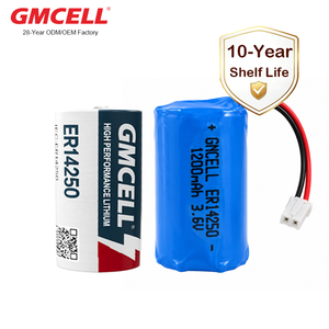 Batteries de secours au lithium GMCELL Custom 3.6V 1/2AA LS 14250 ER14250 PLC avec connecteurs pour compteurs d'eau et de gaz - Product Image 1