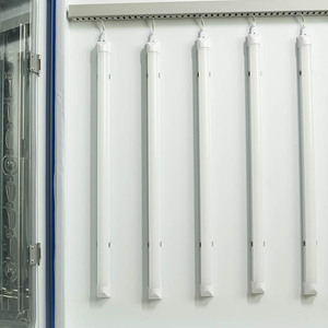 Incubatore Illuminato BIOBASE M per Germinazione Piante, Coltivazione <span class=keywords><strong>di</strong></span> Piantine, Coltura Microbica, Monitoraggio Qualità dell'Acqua, Determinazione BOD - Product Image 3