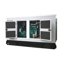 Générateur diesel silencieux à capot 20KW, 30KW, 35KW, 50KW, sortie triphasée AC, groupe électrogène pour l'alimentation des projets