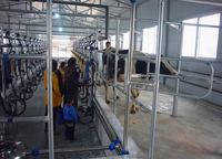 Équipement de traite robuste pour ferme laitière, pompe à vide en acier inoxydable de qualité alimentaire, conception facile à nettoyer pour grandes exploitations bovines